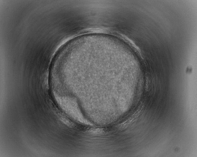 X0000099941174200806201113