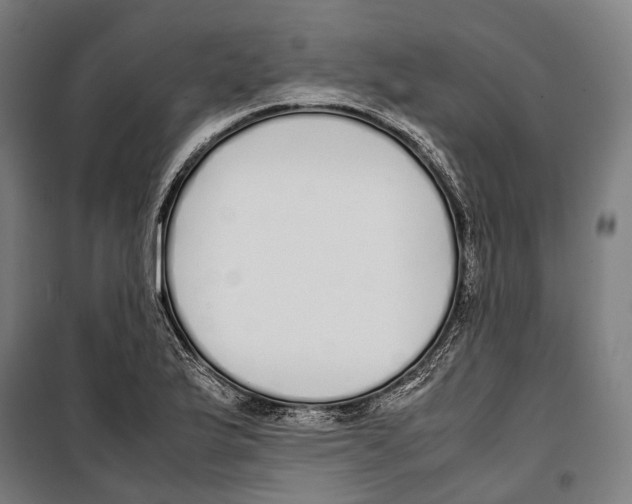 X0000099941175200806201113