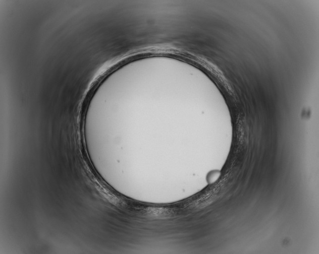 X0000099941176200806201113