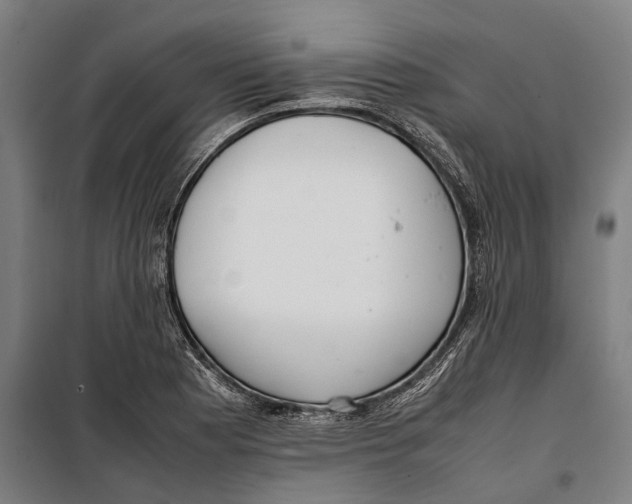 X0000099941177200806201113