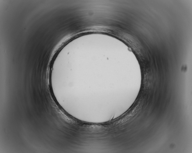 X0000099941180200806201113