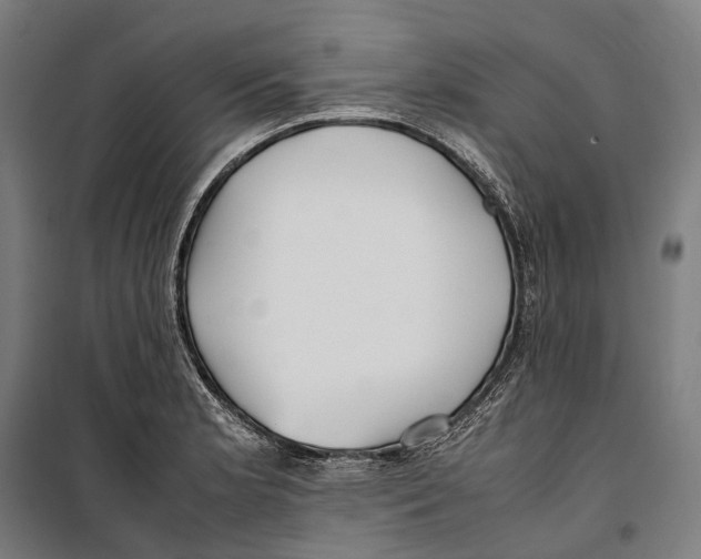 X0000099941181200806201113