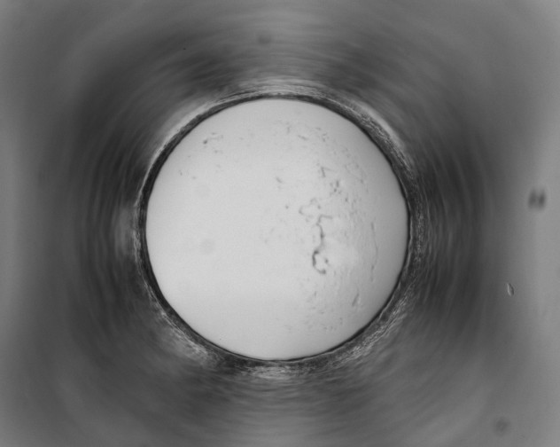 X0000099941182200806201113