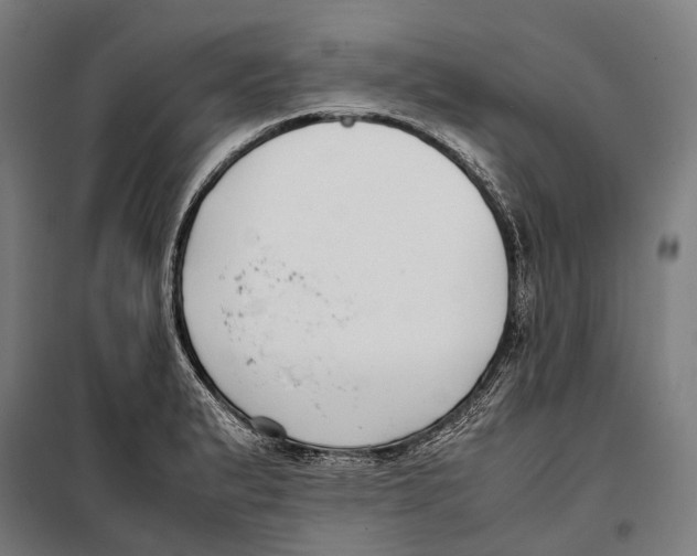 X0000099941183200806201113
