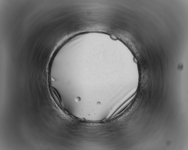 X0000099941184200806201113