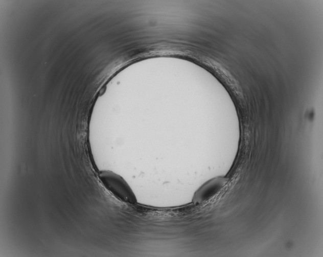 X0000099941185200806201113