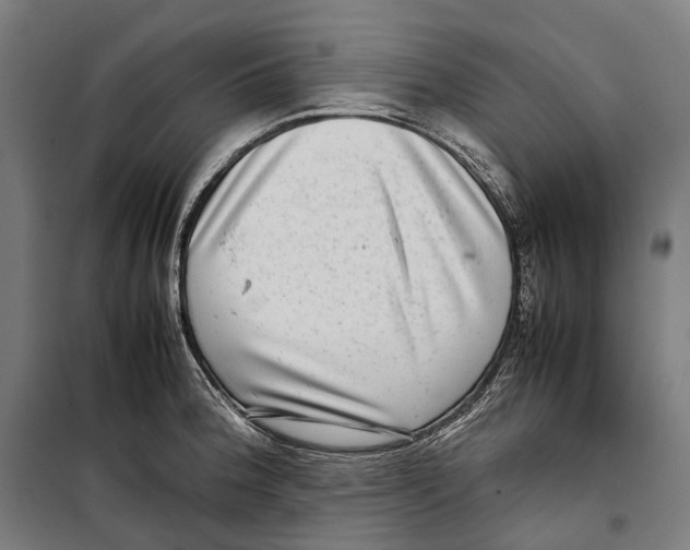 X0000099941188200806201113