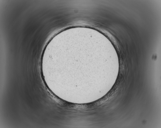 X0000099941191200806201113
