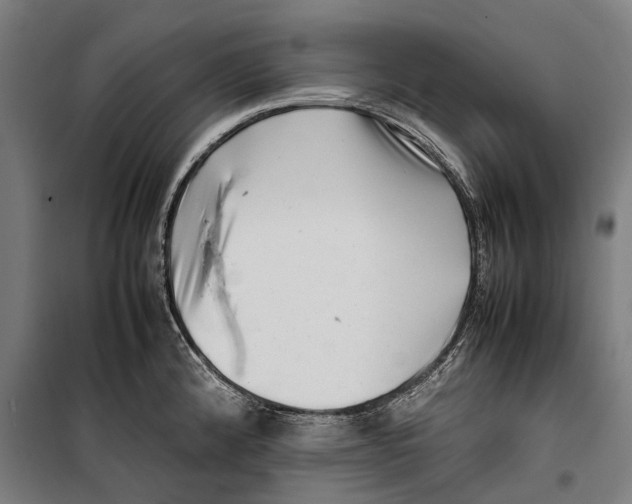 X0000099941192200806201113