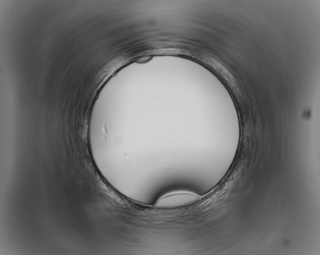 X0000099941193200806201113