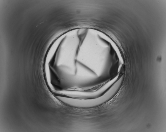 X0000099941197200806201113