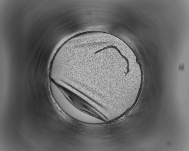X0000099941200200806201113