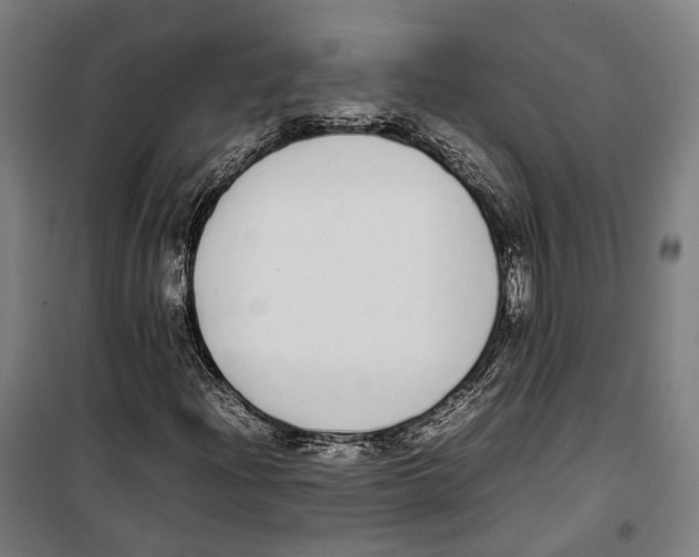 X0000099941204200806201112