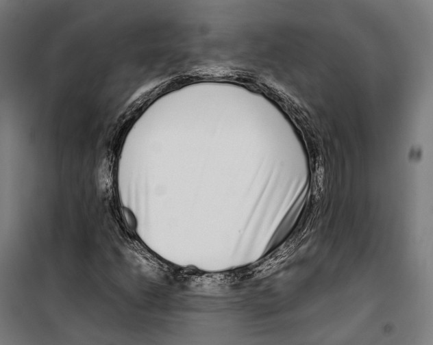 X0000099941206200806201112