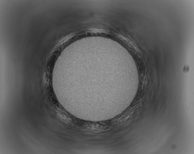 X0000099941207200806201112
