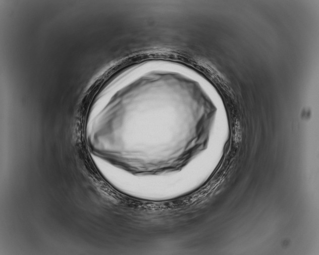X0000099941208200806201112