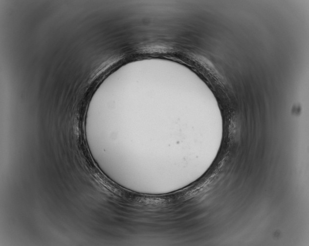 X0000099941209200806201112