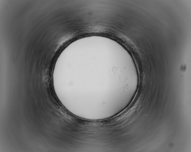 X0000099941210200806201112