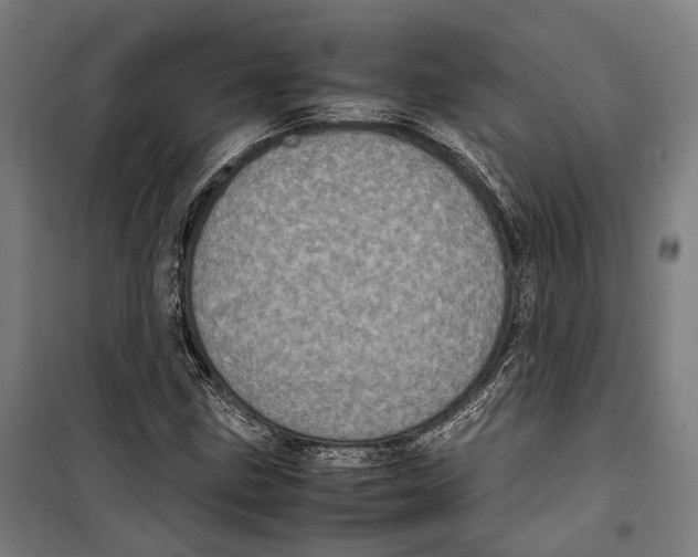 X0000099941211200806201112