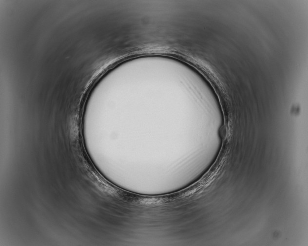 X0000099941212200806201112