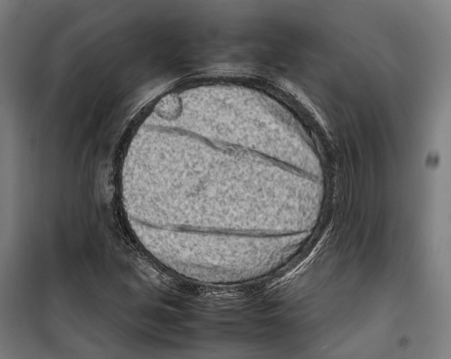 X0000099941213200806201112