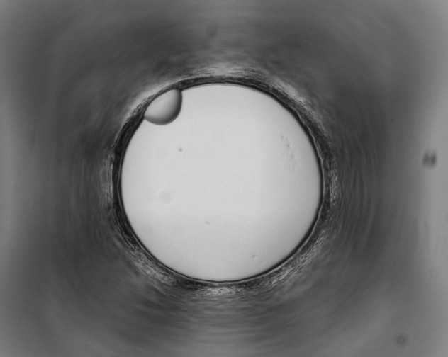 X0000099941214200806201112