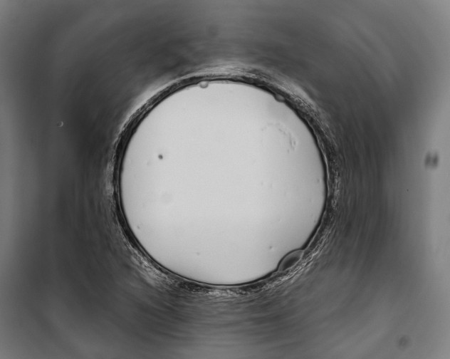 X0000099941216200806201112