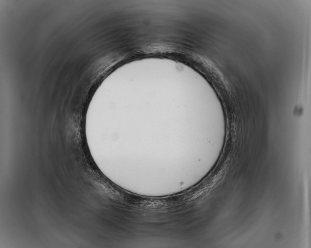X0000099941217200806201112