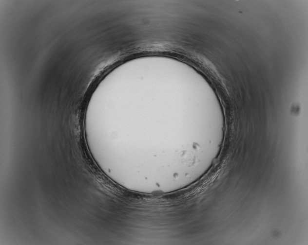 X0000099941218200806201112