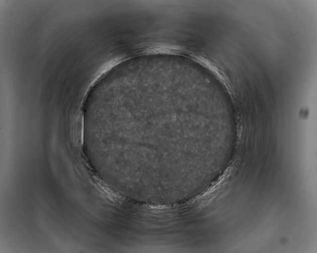 X0000099941219200806201112