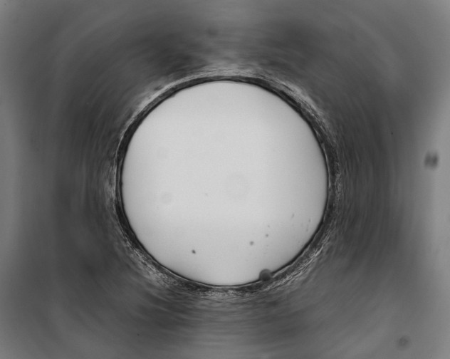 X0000099941220200806201112