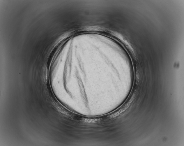 X0000099941221200806201112