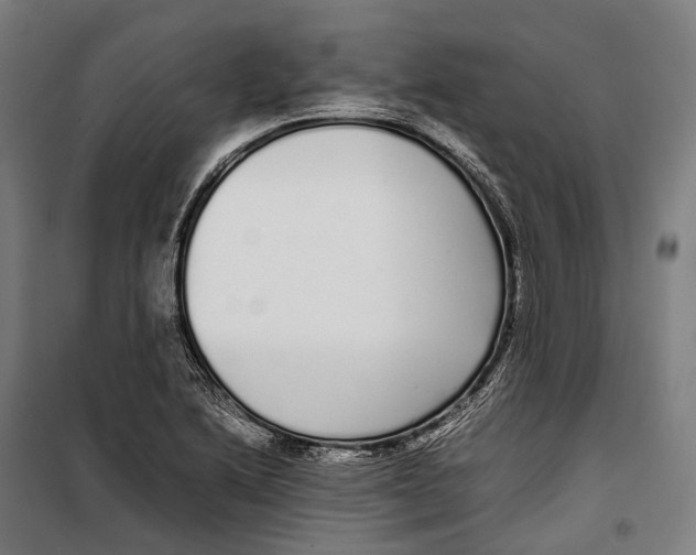 X0000099941222200806201112