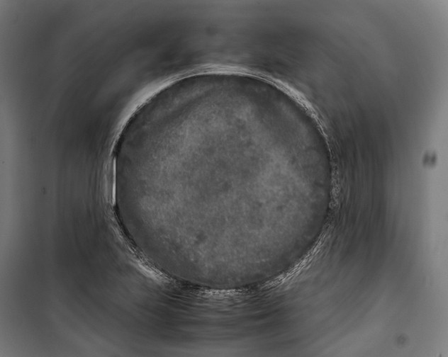 X0000099941223200806201112