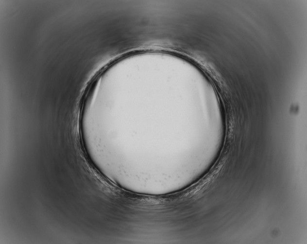 X0000099941224200806201112