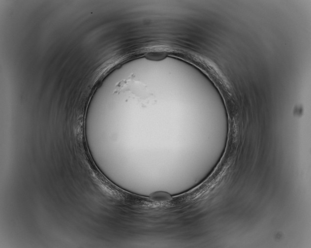 X0000099941225200806201112