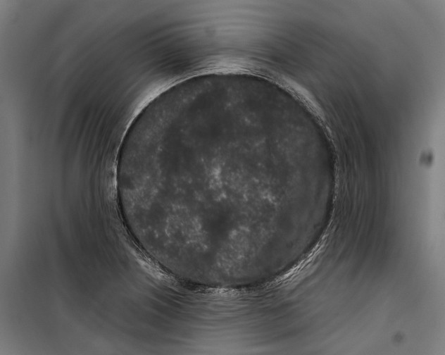 X0000099941226200806201112