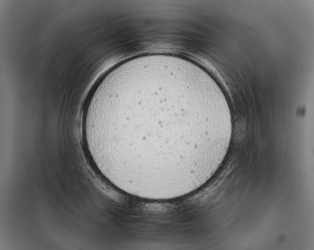 X0000099941227200806201112