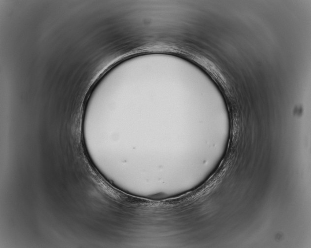 X0000099941228200806201112