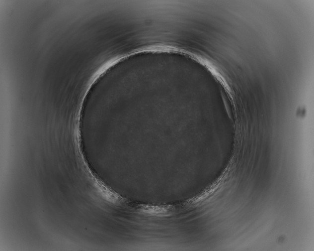 X0000099941229200806201112