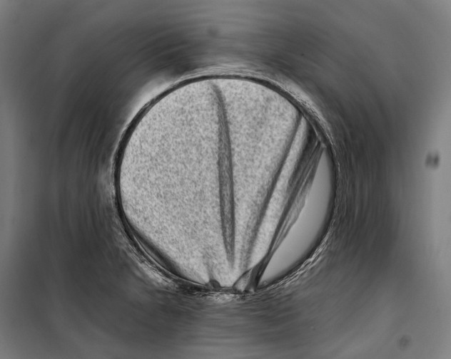 X0000099941230200806201112