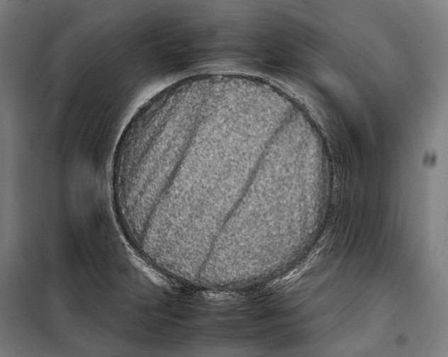 X0000099941231200806201113
