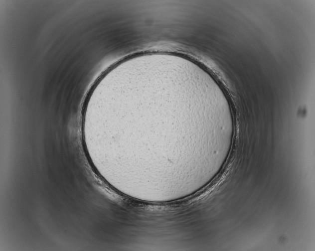 X0000099941232200806201113