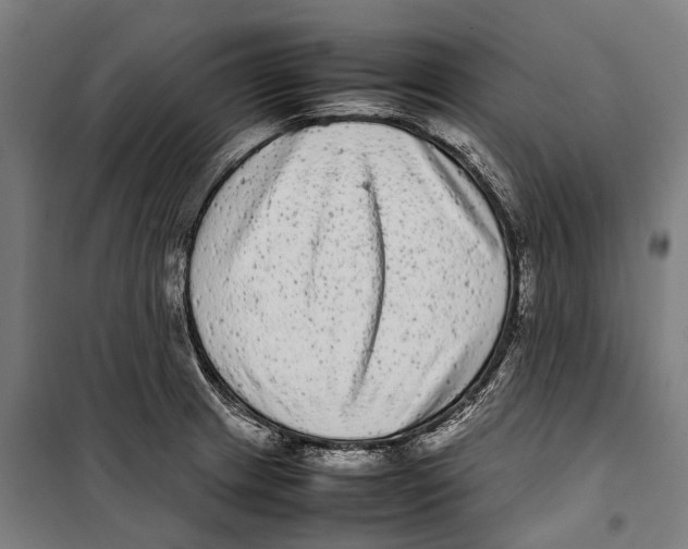 X0000099941233200806201113