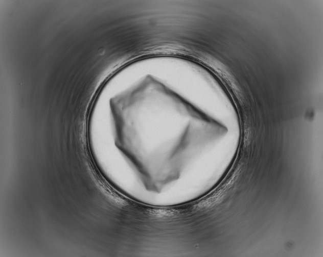 X0000099941234200806201113