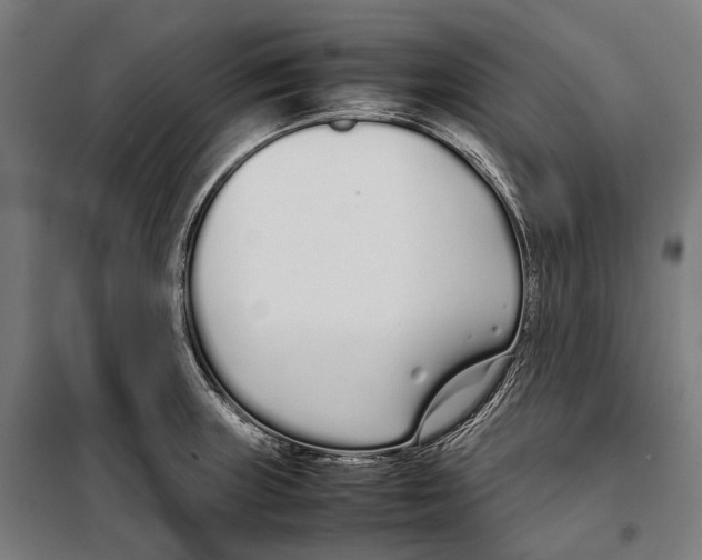 X0000099941235200806201113
