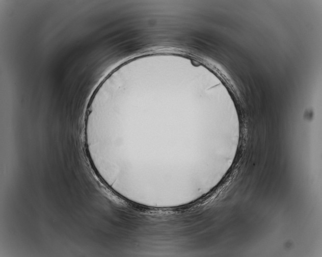 X0000099941236200806201113