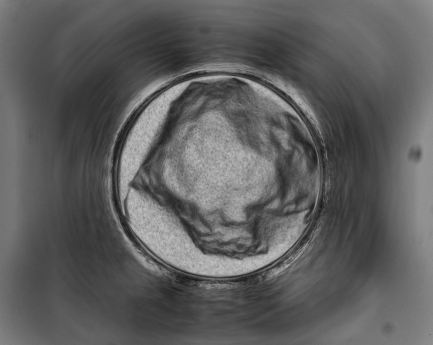 X0000099941237200806201113