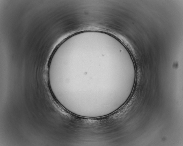 X0000099941238200806201113
