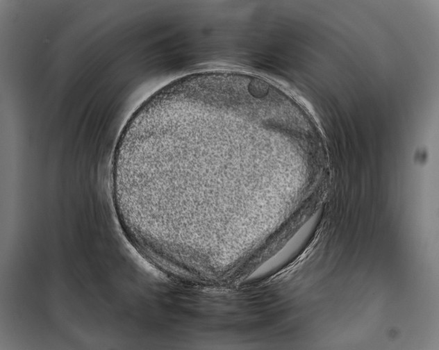 X0000099941239200806201113